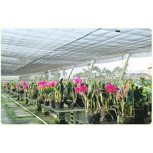 農業用網-遮光網