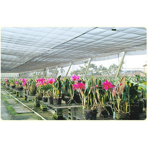 農業用網-遮光網