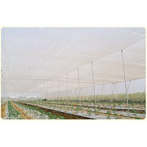 農業用網-網室防蟲網
