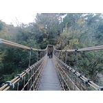 繩索吊橋 - 欣隆製網股份有限公司