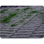 水土保持用網 - 欣隆製網股份有限公司