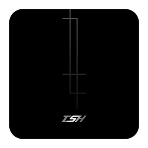 TSH主機 , 香港商亞薩合萊有限公司