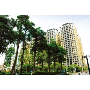 敵銳裝甲玄關門