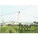 三股防鳥網2.5*2.5公分防止白頭翁