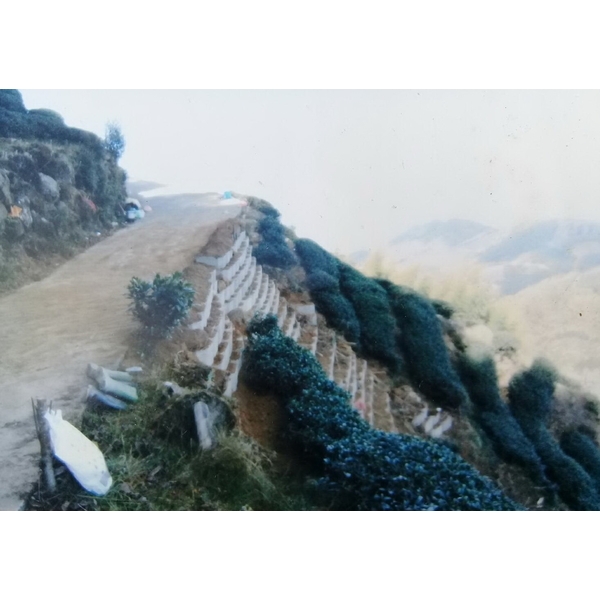 擋土牆,正一水泥製品行