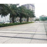 戶外走道 - 利欣生化工程有限公司