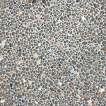 石材-B5404 , 石悅企業有限公司