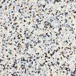 石材-B5676 , 石悅企業有限公司