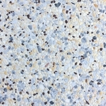 石材-B6639 , 石悅企業有限公司