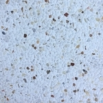 石材-E6069 , 石悅企業有限公司