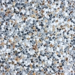 石材-SU-458 , 石悅企業有限公司