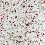 石材-su-2090 , 石悅企業有限公司