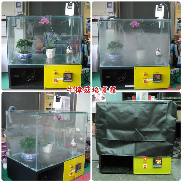 牛樟菇培育箱,揚雅國際股份有限公司