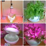 植物培育箱 - 揚雅國際股份有限公司