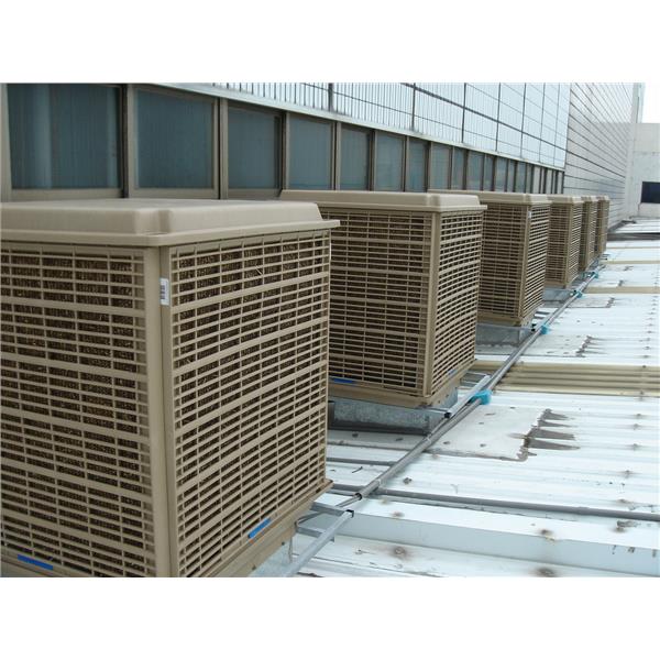 濟生藥廠,揚雅國際股份有限公司