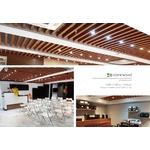 格柵/塑木格柵/卡扣天花/障板 (環保木材/塑木/WPC) - 杉澤國際有限公司