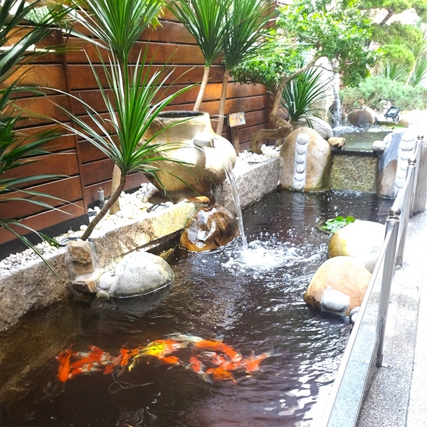 生態池、鯉魚池,康境實業有限公司