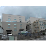 聖芳茶葉 - 政傑工程實業有限公司