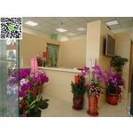 診所 - 一揚設計企業有限公司