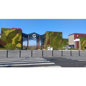 上海迪士尼-立體綠化