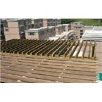 南方松花架 - 凱威聯合工程有限公司