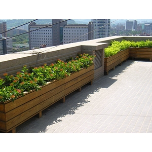 南方松頂樓花槽