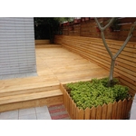 南方松美化工程 - 凱威聯合工程有限公司