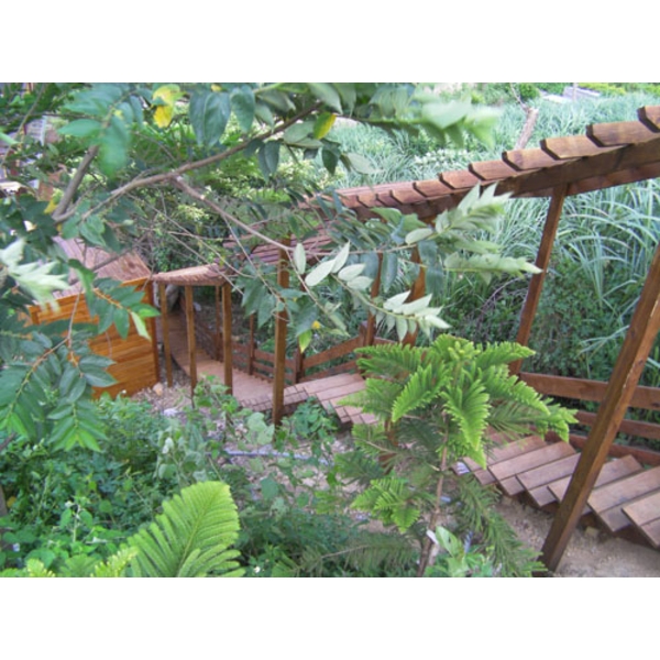 南方松花架長廊