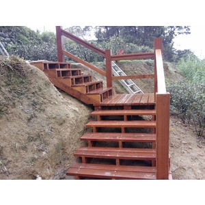 婆羅州鐵木木梯