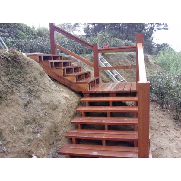 婆羅州鐵木木梯