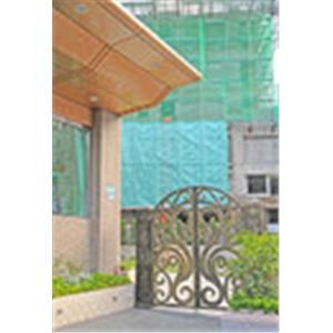 現代鋼鋁門窗-鍛造大門.採光罩