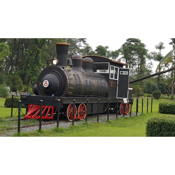 火車實例-義大樂園花車