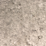 白洲土-ND-5,鴻泰國際企業有限公司