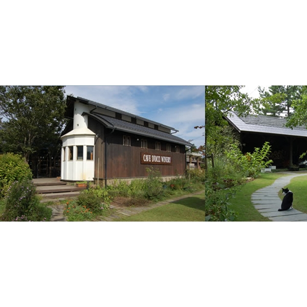 日本-Cave d’Occi Vinespa酒莊溫泉