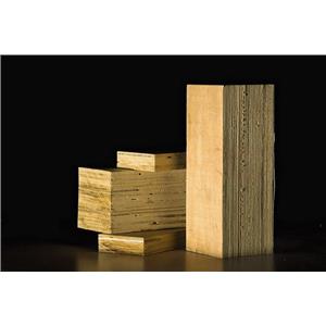 LVL單板層積材 , 聯美林業股份有限公司