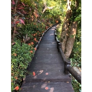 平台、棧道