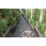 平台、棧道 - 利澤建材工業有限公司