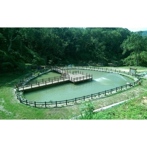 平台、棧道