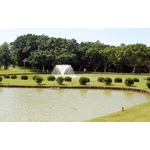 排樁 - 利澤建材工業有限公司