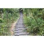 階梯 - 利澤建材工業有限公司