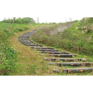 階梯
