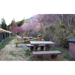 T-8Y桌 F-7Y椅 - 利澤建材工業有限公司