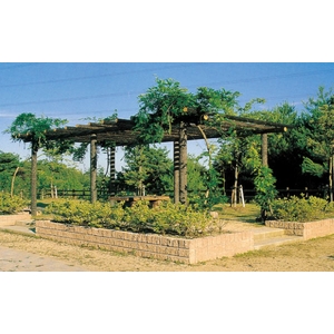 R-3花架