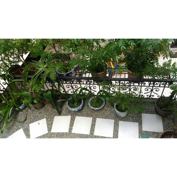 住家空中花園-鍵昌企業有限公司