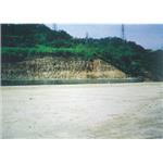 離子安定固化劑 , 宏祖企業有限公司