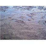 離子安定固化劑