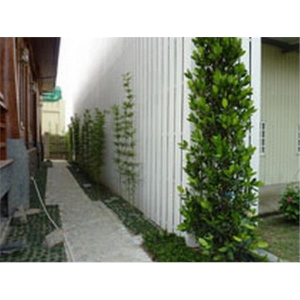 豐原-維丞室內裝修工程有限公司