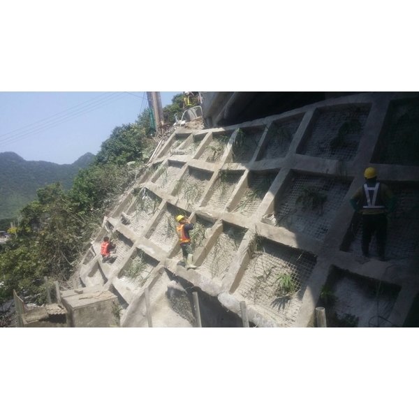 植生綠化工程,佳振工程有限公司