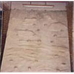 體能運動設施 - 幼協育樂企業有限公司