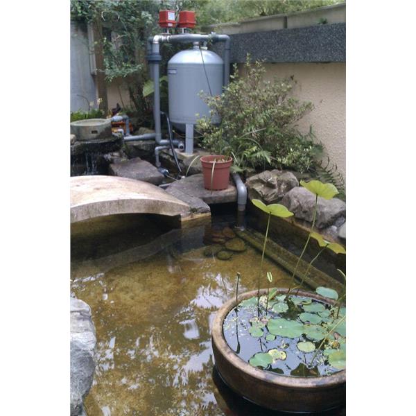 全自動濾水器／水池濾水器